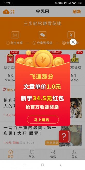 金凤网