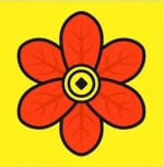 石榴花