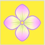 八仙花